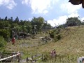 005.jpg