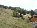 010.jpg