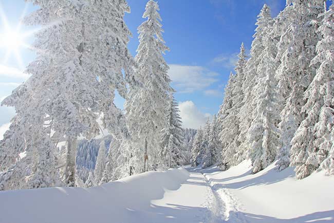 Wintersport am Schluchsee