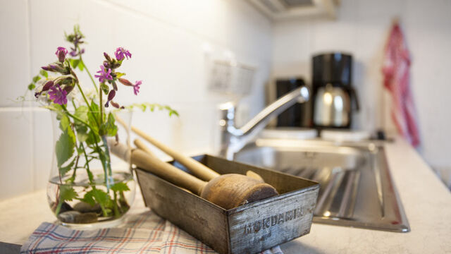 Ferienwohnung Gartenblick: Spüle Ferienwohnung Gartenblick: Spüle