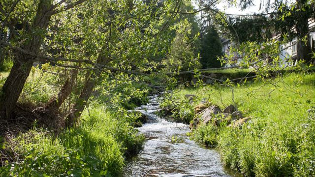 Bachlauf im Garten der Pension Tannenheim Bachlauf im Garten der Pension Tannenheim