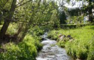 Bachlauf im Garten der Pension Tannenheim Bachlauf im Garten der Pension Tannenheim