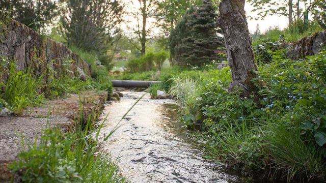 Bergbach im Garten der Pension Tannenheim Bergbach im Garten der Pension Tannenheim