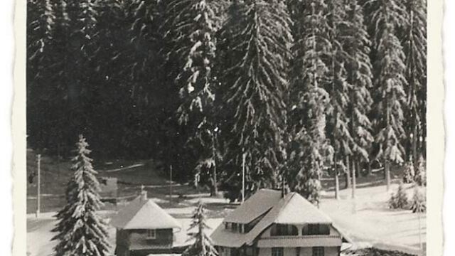 Die Pension Tannenheim im Winter Die Pension Tannenheim im Winter