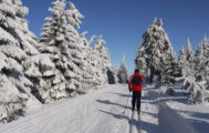 Langlaufurlaub im Schwarzwald Langlaufurlaub im Schwarzwald