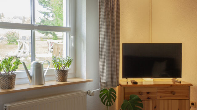 Ferienwohnung Garten: Fernseher Ferienwohnung Garten: Fernseher