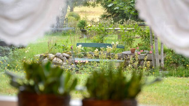 Ferienwohnung Garten: Aussicht auf den Garten und Bachlauf Ferienwohnung Garten: Aussicht auf den Garten und Bachlauf